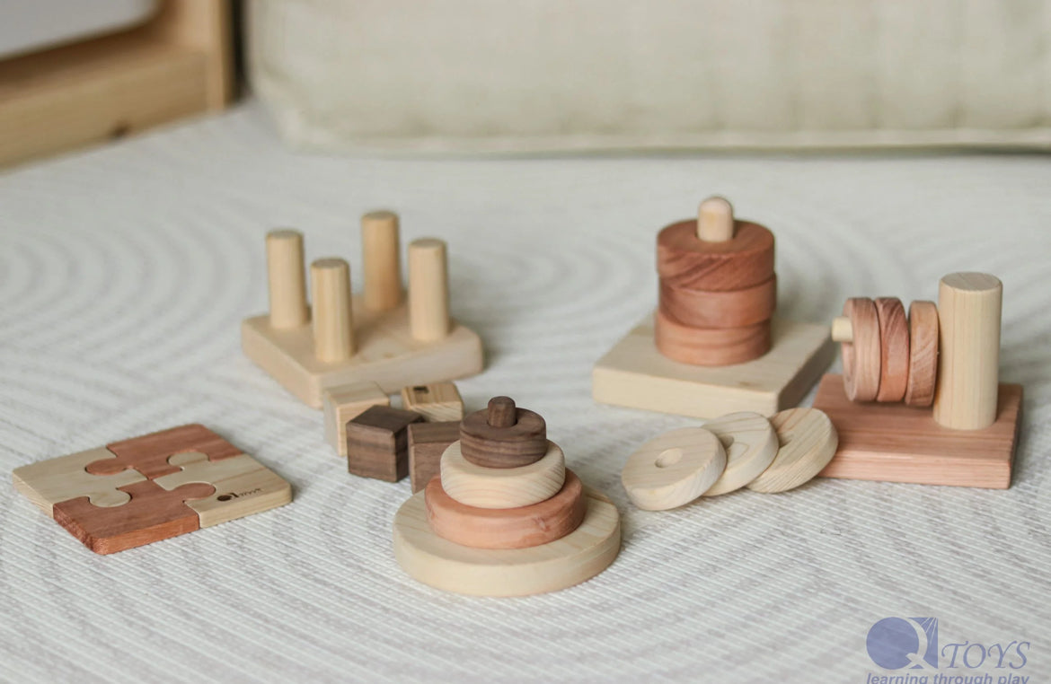 Montessori Wooden Block Set