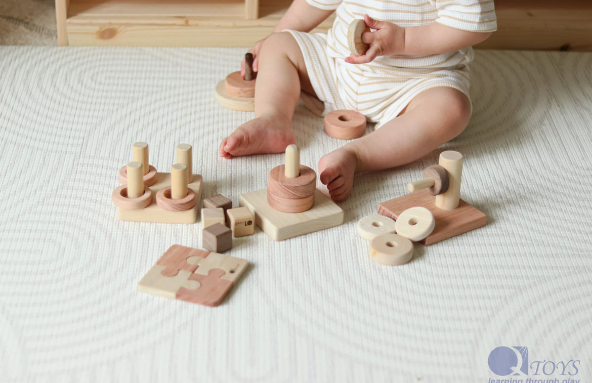 Montessori Wooden Block Set