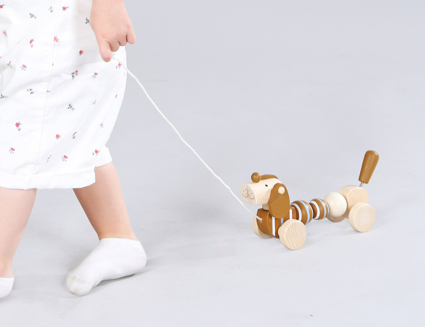 Pull Along Wooden Sausage Dog