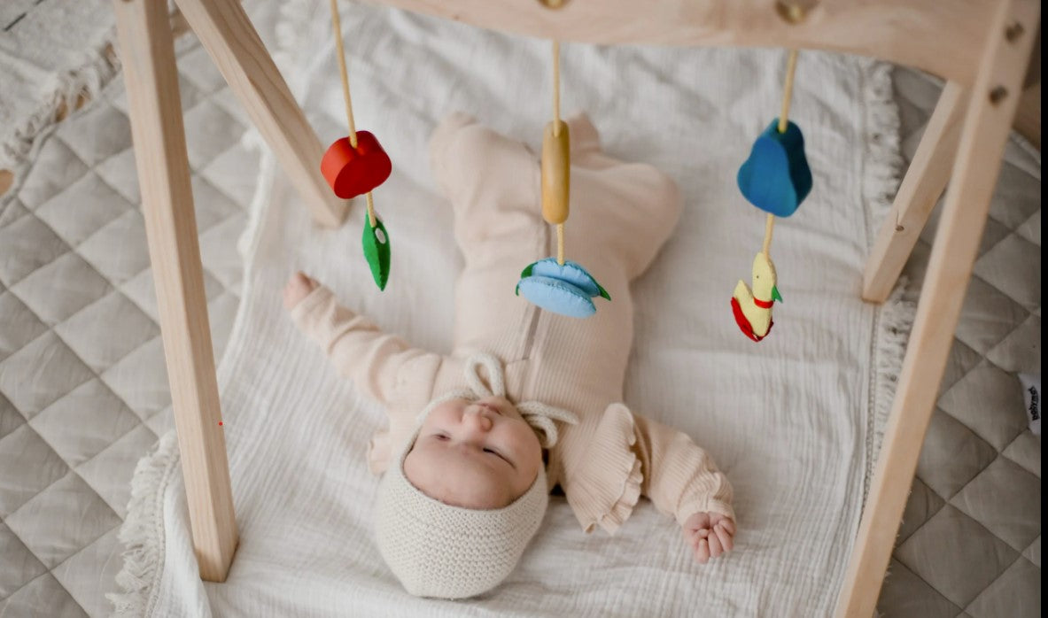 Wooden Baby Gym