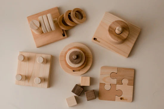 Montessori Wooden Block Set