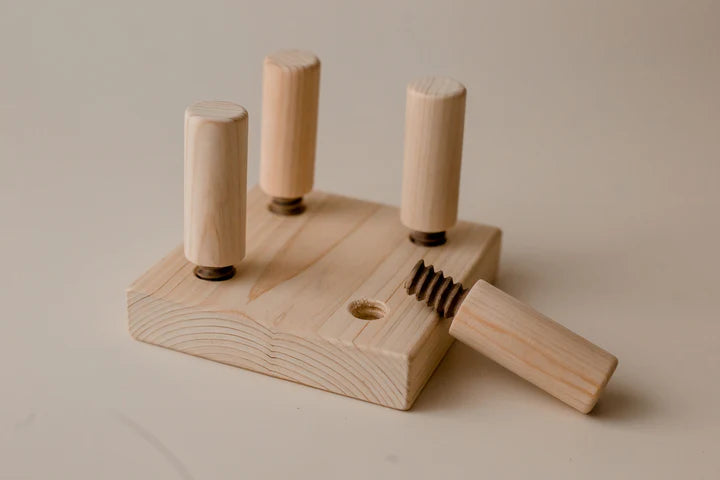 Montessori Wooden Block Set