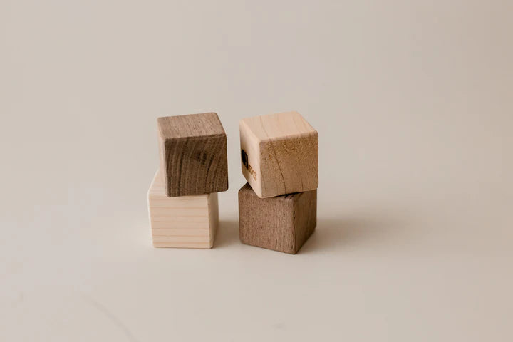 Montessori Wooden Block Set